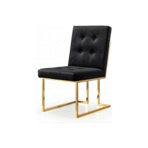 Stainless Steel Art Dining Chair 45×50×50×50 cm - Black & Gold - SSA.33